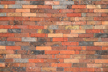 Brick wall for background.