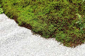The garden floor consists of small stones and green grass.
