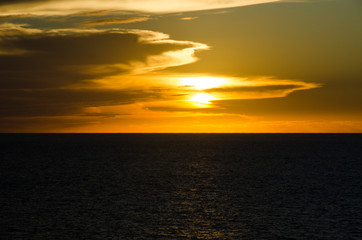 Caribbean - Sunset - flower