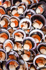 Lima, Peru - Nov 17, 2019:  Fresh scallops shellfish on sale at the Chorillos fish market