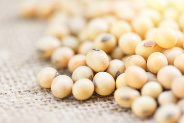 Soybean on the sack background agricultural products / dry soy beans