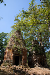 Fototapeta premium The temple of Koh ker Cambodia