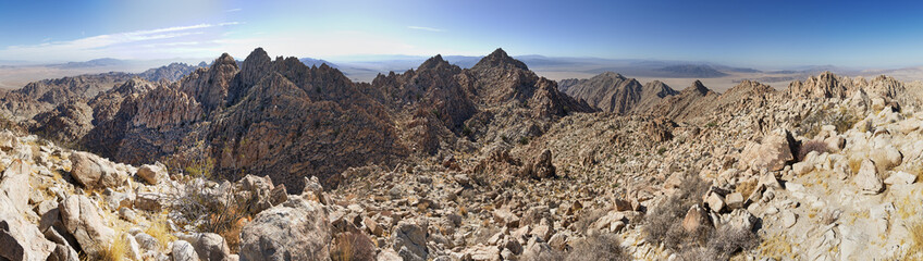 Joshua Tree Desert Mountain Panorama