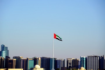 flags in front of urban city skyline