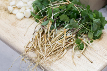 The sprouted seeds of ginseng (Panax ginseng)
