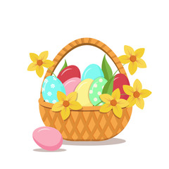 Easter wicker basket with painted eggs and yellow spring flowers Daffodil . Isolated on white background. Vector graphics in stock.