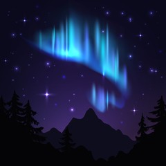 Fototapeta premium Northern lights. Isolated aurora borealis, bright stripes in night sky. Aurora blue vector background