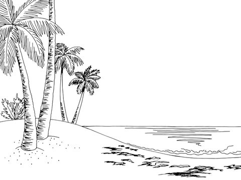 Beach Borders Black And White