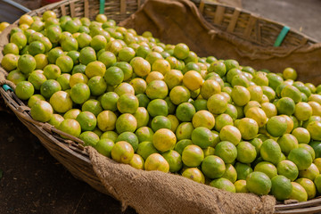 green and Yellow Lemons in the market - KR Market,Bangalore,India