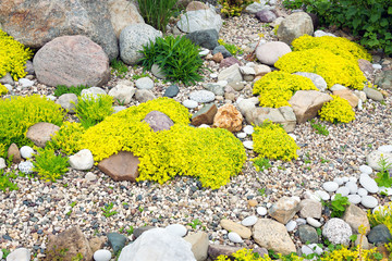 rockery rock garden