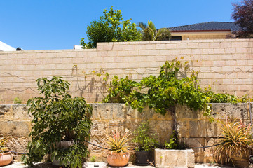 Flowers in bloom, spring, blue sky's, summer