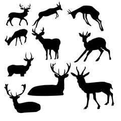 Set of deer. Black silhouette deer isolated on white. Hand drawn vector illustration.  deer jump