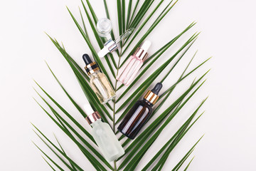 Various serum bottles on palm leaf on grey background. Additional moisturizing product for beautiful skin.