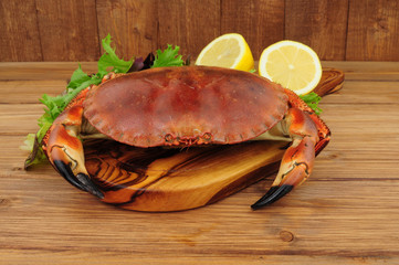Whole fresh cooked brown crab on a wooden background with lemon and salad leaves