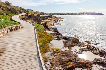 Boardwalk along the coast near Curl Curl