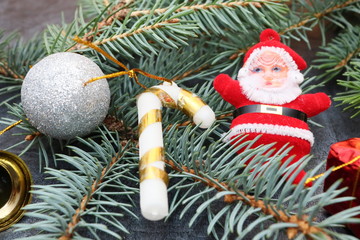 Merry christmas and a happy new year! A sprig of the green symbol of the winter holidays - spruce...