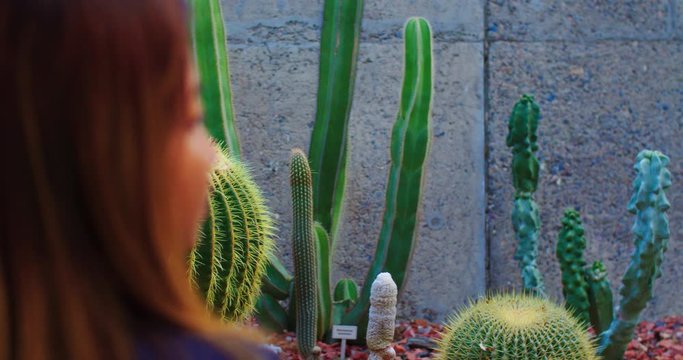 Asian Woman Admiring A Variety Of Cactus Plants