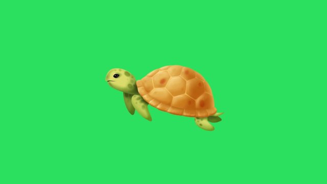 Animation Sea turtle on green background. 