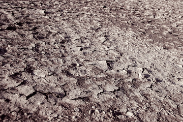 Dry cracked barren land. Cracks and dirt. Selective focus in the center.