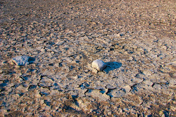 Two stones lie on a dry cracked barren ground. Cracks and dirt. Lifeless steppe. Selective focus in the center.