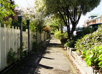 Launceston Tasmania footpath  in the city