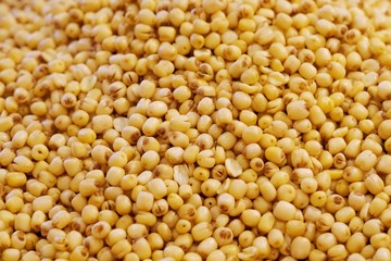 Close up pile of Dried Lotus Seeds in thai street food market