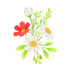Bouquet of Daisy Flowers Vector Composition. Natural Floral Decoration