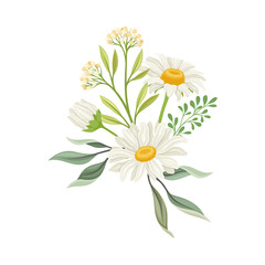 Fototapeta na wymiar Bouquet of Daisy Flowers Vector Composition. Natural Floral Decoration