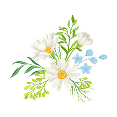 Fototapeta na wymiar Daisy Flowers Vector Composition. Field Chamomile Blossom Concept