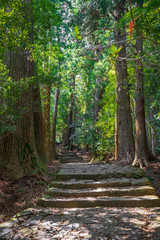 Beautiful famous landmark waterfall Nachi Falls in green forest blue sky Nachikatsuura Wakayama Prefecture Japan Nachi Fall is one of the best waterfalls  in Japan idea for rest relax enjoy lifestyle