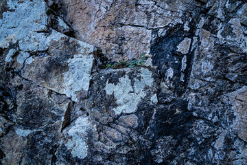 Texture of old scratched cracked grey stone