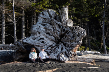 Carefree women sitting on the black sand beach by a giant tree roots on a sunny cool day meditating and relaxing. Rialto beach in Olympic National Park. Forks. Washington State. USA