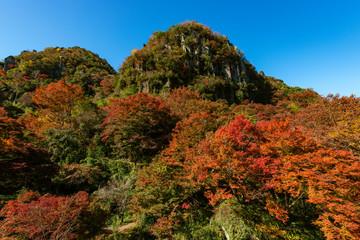 一目八景の紅葉