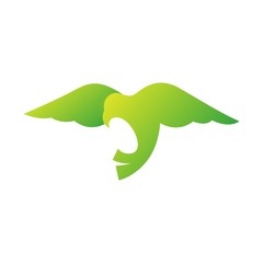 flying eagle design vector premium