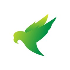 Obraz premium flying eagle design vector premium