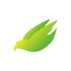 flying eagle design vector premium