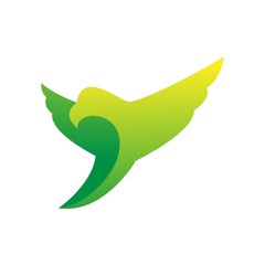 flying eagle design vector premium