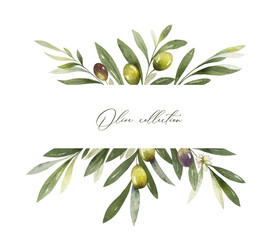 Watercolor vector banner of olive branches and leaves.