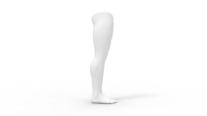 Fototapeta premium 3d rendering of a human leg isolated in studio background