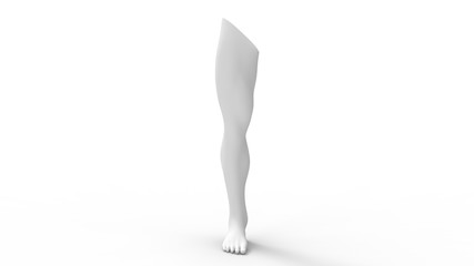 3d rendering of a human leg isolated in studio background