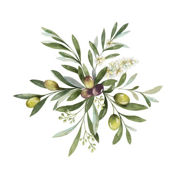 Watercolor vector bouquet of olive branches and flowers.