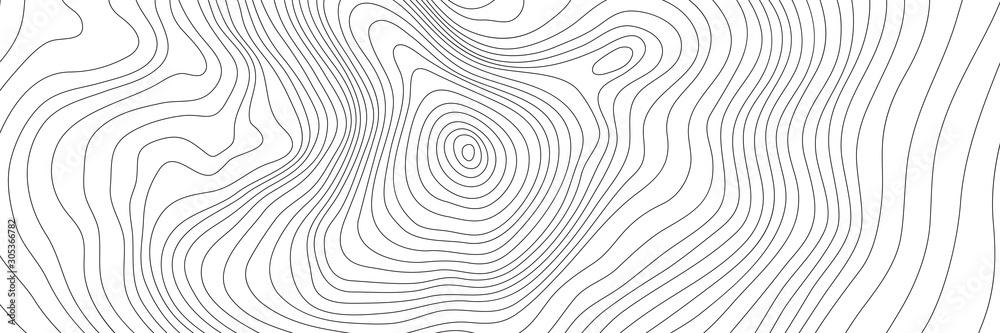 Wall mural the stylized height of the topographic contour in lines. the concept of a conditional geography sche