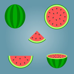 Group of watermelon balls and watermelon cut into pieces, vector illustration.