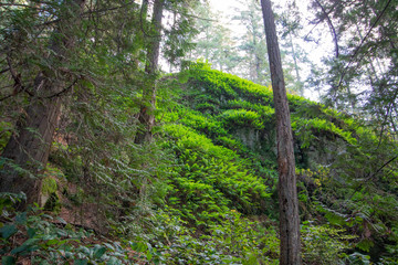 North vancouver, November, Ocean