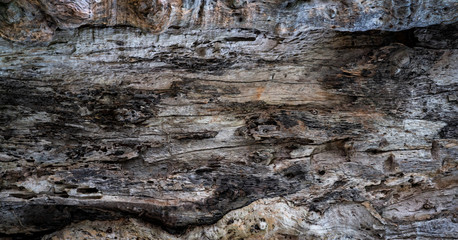 Closeup texture of decayed old tree. Detail of old wood texture background. Rough surface of dead tree stump. Weathered natural wood material for house furniture. Dirt skin of wooden. Weird log.