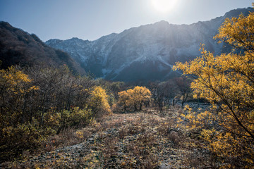 大山隠岐国立公園の紅葉（鳥取県）