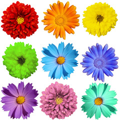 many color isolated colors red orange yellow green blue light blue purple pink turquoise