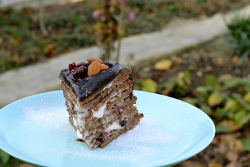 Delicious homemade sponge cake with sour cream with cranberries, decorated with chocolate icing and nuts