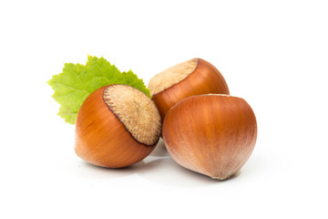 Hazelnut nut many leaves isolated on a white background as a packaging design element