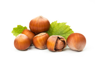 Hazelnut nut many leaves isolated on a white background as a packaging design element